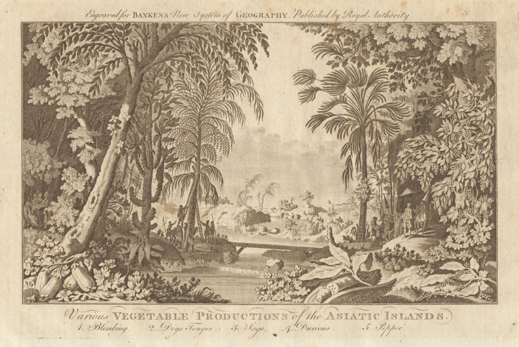 Tropical fruit & veg. Blimbing Dogs tongue Sago Durian Pepper. BANKES 1789